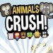  Animals crush