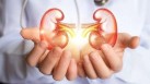 How to prevent diabetic kidney disease? Health expert shares prevention tips for high blood sugar patients and treatment (Photo by Shutterstock) How to prevent diabetic kidney disease? Health expert shares prevention tips for high blood sugar patients and treatment (Photo by Shutterstock)