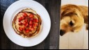 Dog looking at pancakes on table