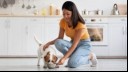 Woman and dog in the kitchen