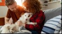 Couple holding dog