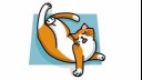 cat sleeping in acrobat position illustration