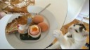 The cat tries to get a boiled egg from the owner's plate