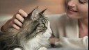 woman looking lovingly at her cat and stroking her