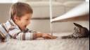 young boy reaching for a kitten under a table