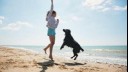 girl and dog jumping on a beach