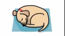 dog sleeping in donut position illustration