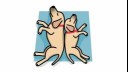 dogs sleeping back to back illustration