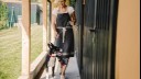 dog visiting a kennel