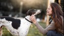 lady with greyhound in the park