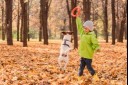 Puppy jumping up and playing with child