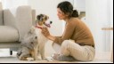 owner stroking her clean puppy