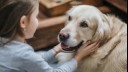 Young girl holder her dog's face