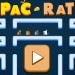  Pac rat 2